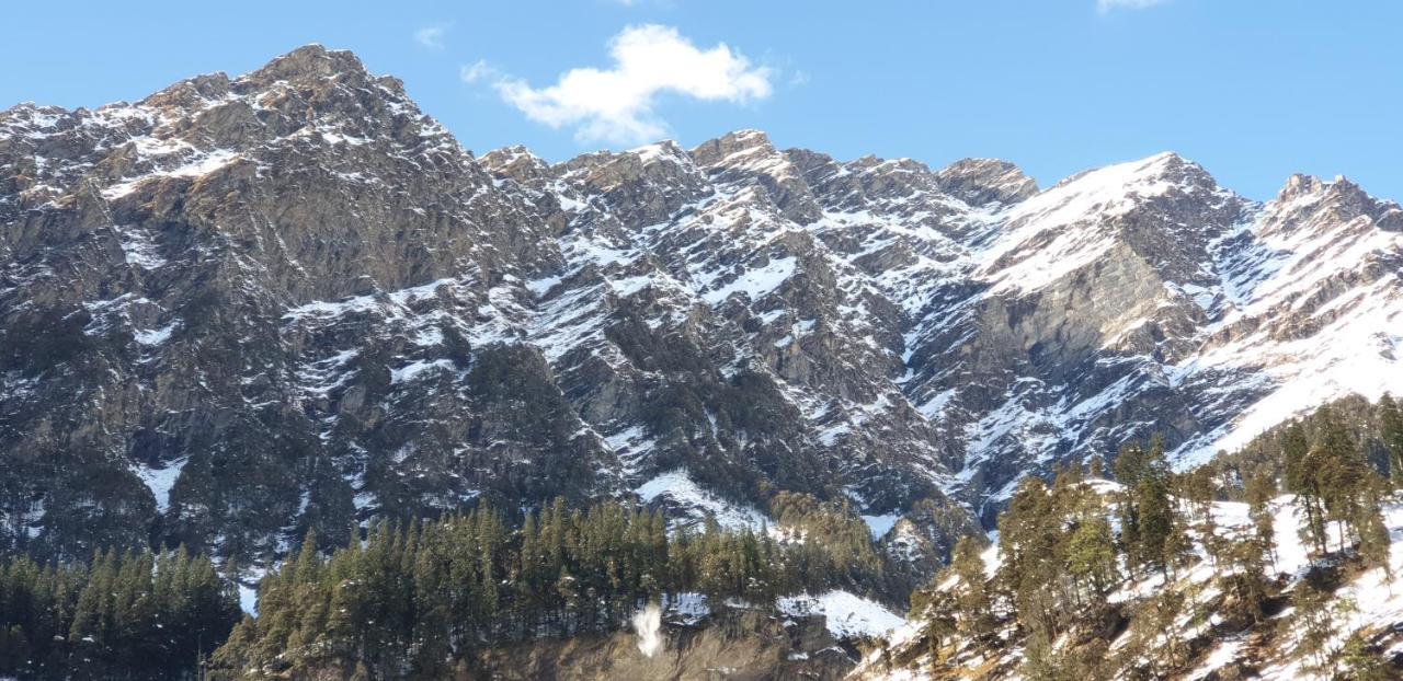 Backpackers Headquarter Manali Hostel Εξωτερικό φωτογραφία